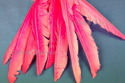Декоративный Пучок из перьев, перо 25см/розовый - купить в Хасавьюрте. Цена: 14.40 руб.
