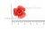 Украшение "Розы малые №1" 20мм - купить в Хасавьюрте. Цена: 32.49 руб.
