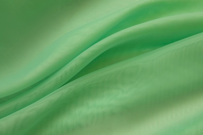 Портьерный капрон 15-6123, 47 гр/м2, шир.300см, цвет св.зелёный - купить в Хасавьюрте. Цена 137.27 руб.