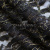Кружевное полотно XD LACE 1-4, 80 гр/м2, шир.150см, цвет чёрный - купить в Хасавьюрте. Цена 245.94 руб.