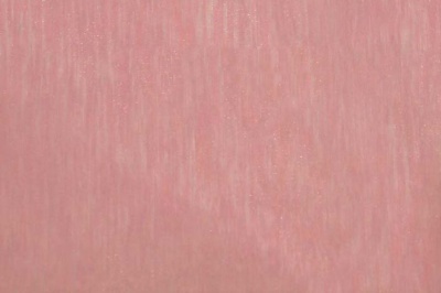 Органза однотонная "Амелия" С19 (Розовый) 280 см - купить в Хасавьюрте. Цена 303.09 руб.