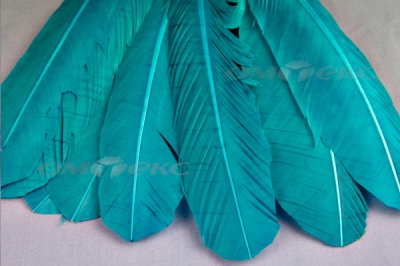 Декоративный Пучок из перьев, перо 24см/голубой - купить в Хасавьюрте. Цена: 12.19 руб.