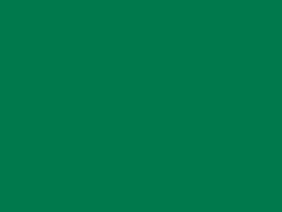 85 см № 258 яр. зеленый спираль (G) сорт-2 - купить в Хасавьюрте. Цена: 16.97 руб.