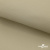 Ткань подкладочная TWILL 230T 14-1108, беж светлый 100% полиэстер,66 г/м2, шир.150 cм - купить в Хасавьюрте. Цена 90.59 руб.