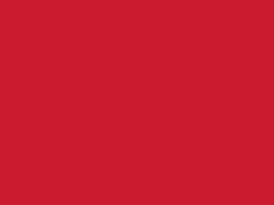 Сетка подкладочная красный, 60г/м2 (10 м/кг) - купить в Хасавьюрте. Цена 894.77 руб.