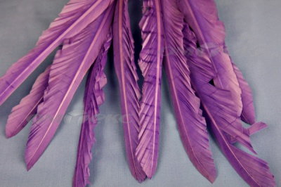 Декоративный Пучок из перьев, перо 25см/фиолетовый - купить в Хасавьюрте. Цена: 12.19 руб.