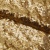 Сетка с пайетками №3, 188 гр/м2, шир.140см, цвет золотой - купить в Хасавьюрте. Цена 454.12 руб.