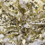 Трикотажное полотно, Сетка с пайетками, шир.130 см, #315, цв.-белый/золото - купить в Хасавьюрте. Цена 693.39 руб.