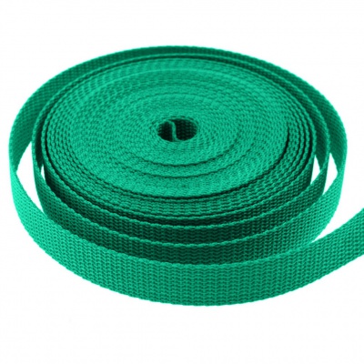 Стропа текстильная, шир. 25 мм (в нам. 50+/-1 ярд), цвет яр.зелёный - купить в Хасавьюрте. Цена: 397.52 руб.