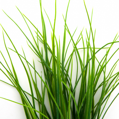 Трава искусственная -3, шт (осока 50 см/8 см  5 листов)				 - купить в Хасавьюрте. Цена: 124.17 руб.